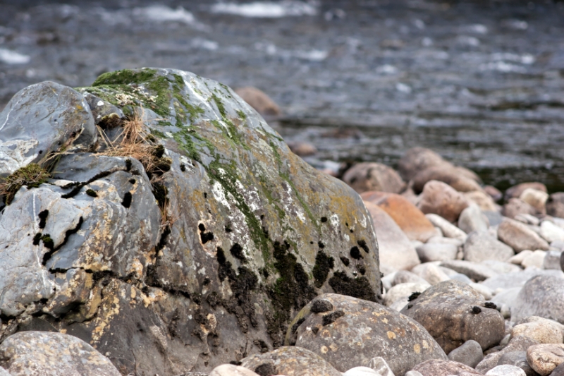River side.jpg